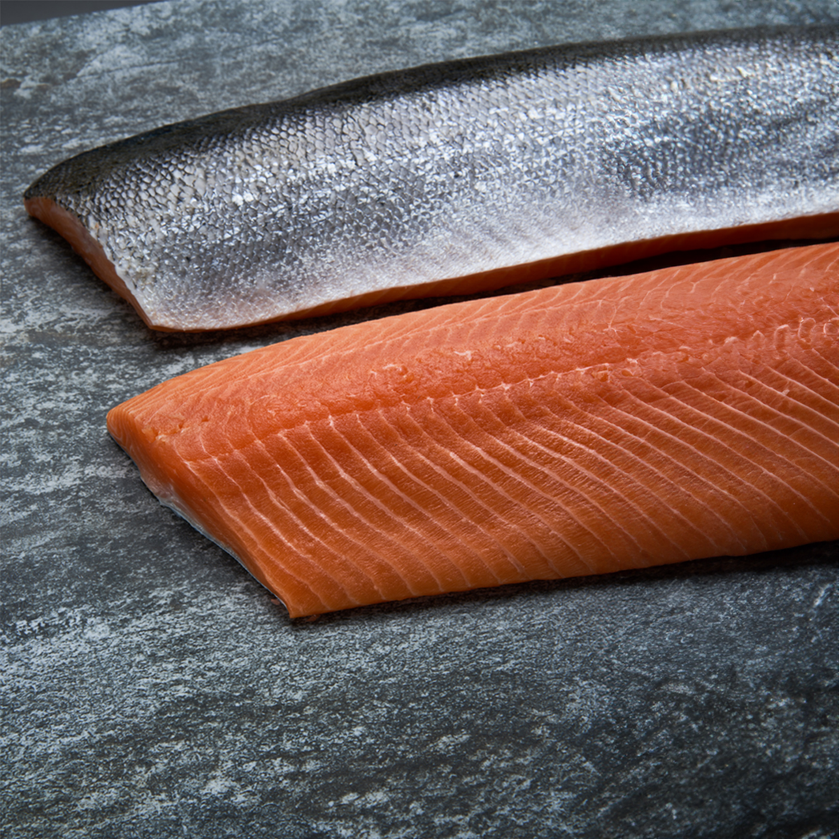 Fresh Salmon Fillet
